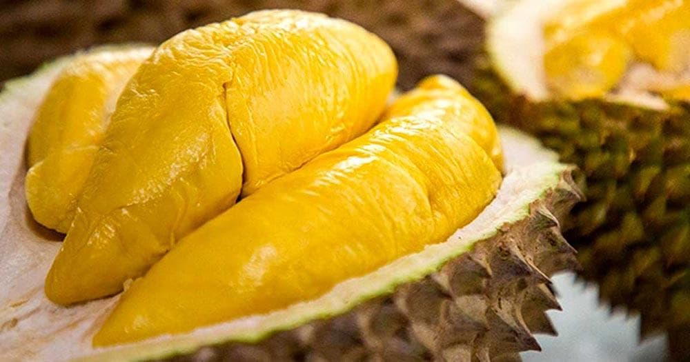 Sầu riêng bạn có thể mua sầu riêng tươi hoặc đã được sấy khô đều tiện lợi